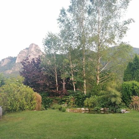 Appartment Nocksteinblick Guggenthal Екстериор снимка