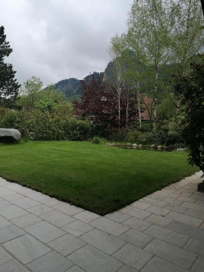 Appartment Nocksteinblick Guggenthal Екстериор снимка