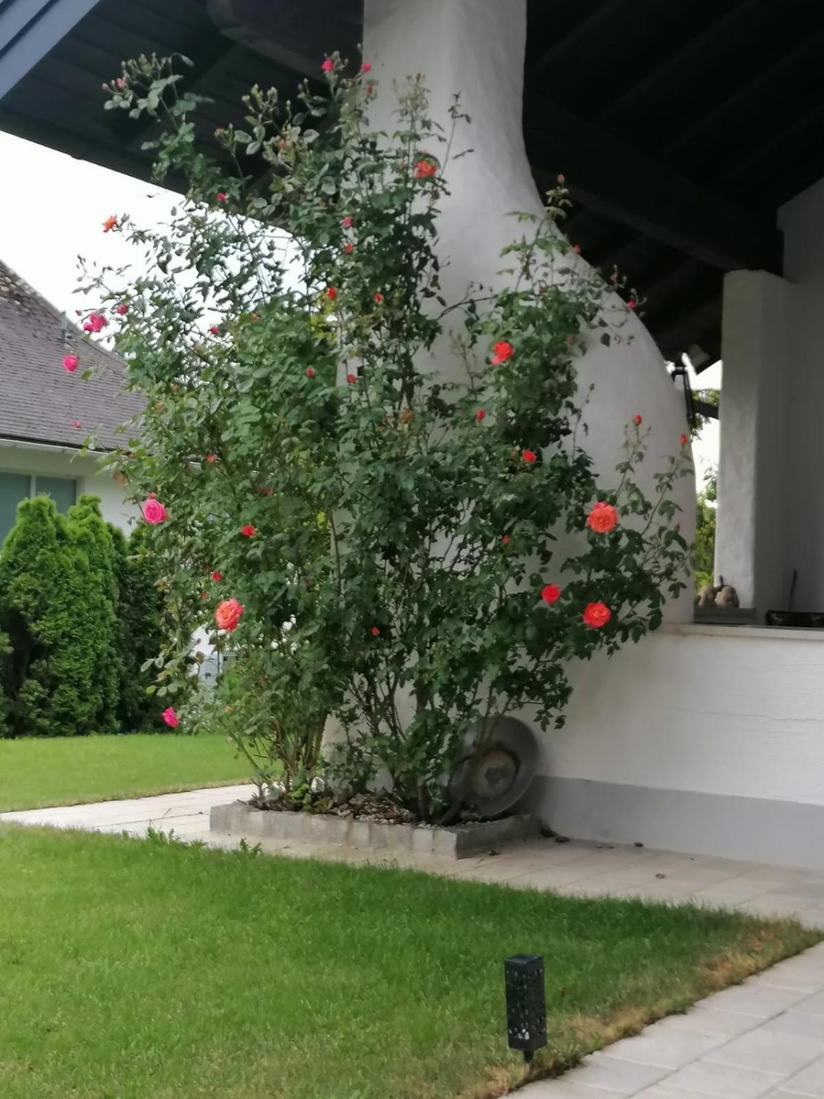 Appartment Nocksteinblick Guggenthal Екстериор снимка